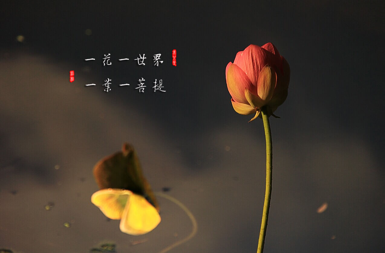 32fa828ba61ea8d3f2ffd75c9a0a304e241f588c.jpg